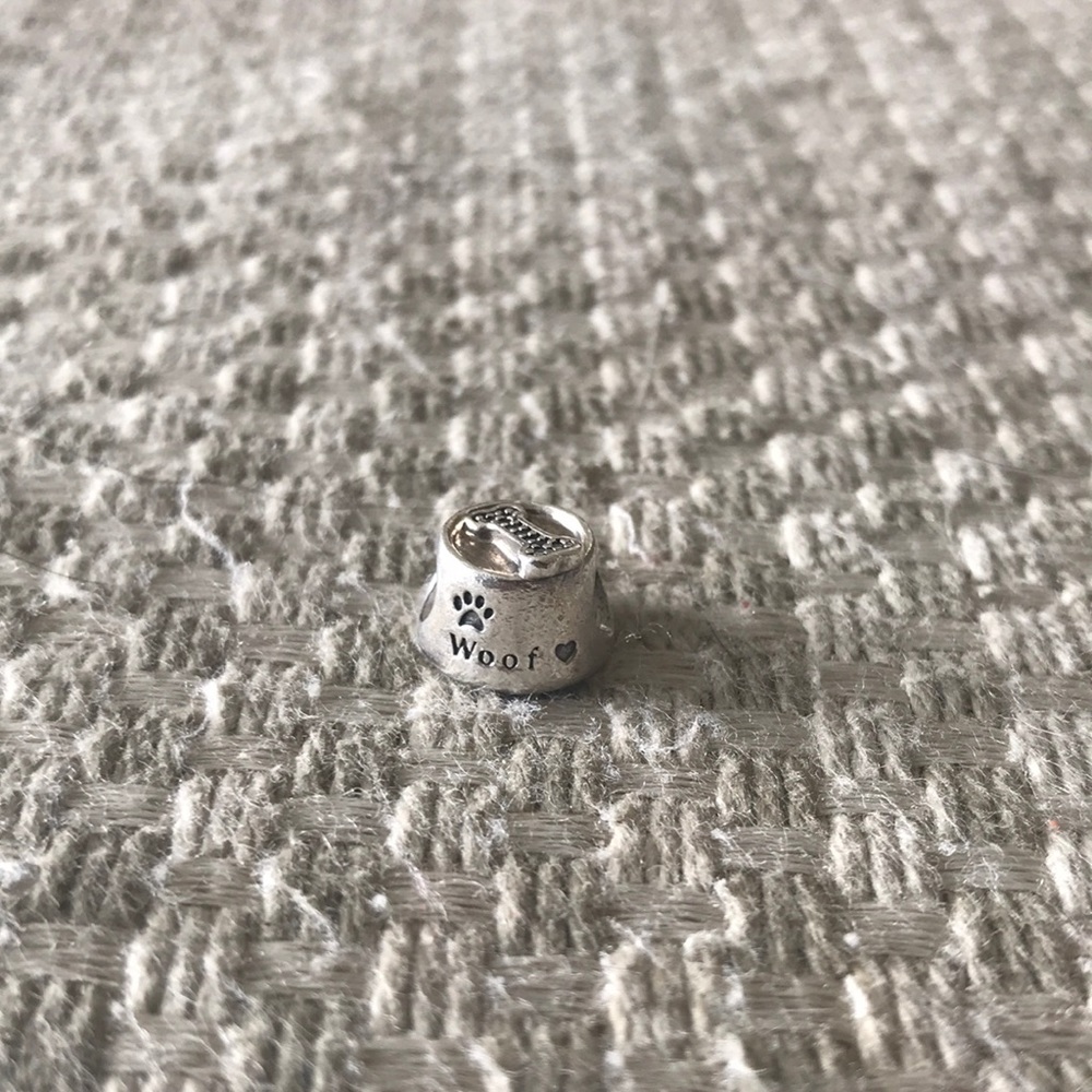 Pandora charm